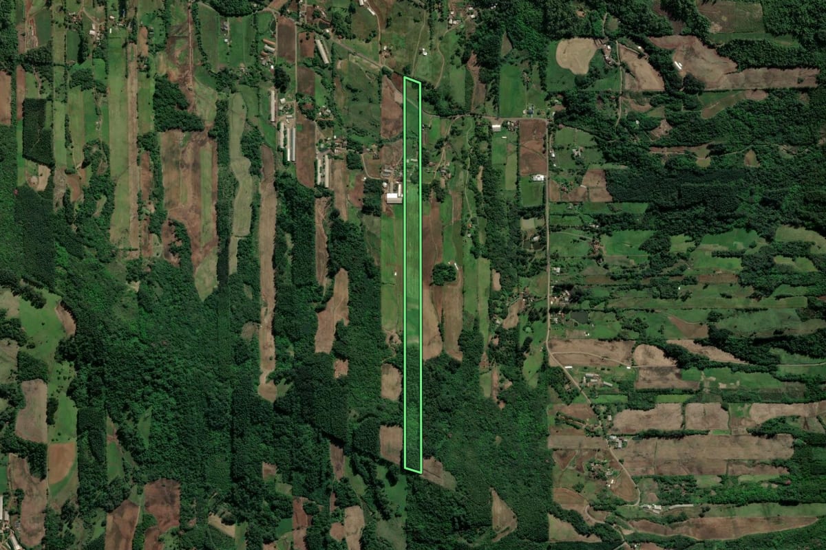 Imagem de satélite do imóvel rural em Teutônia (RS), com o contorno declarado no CAR desenhado por cima.