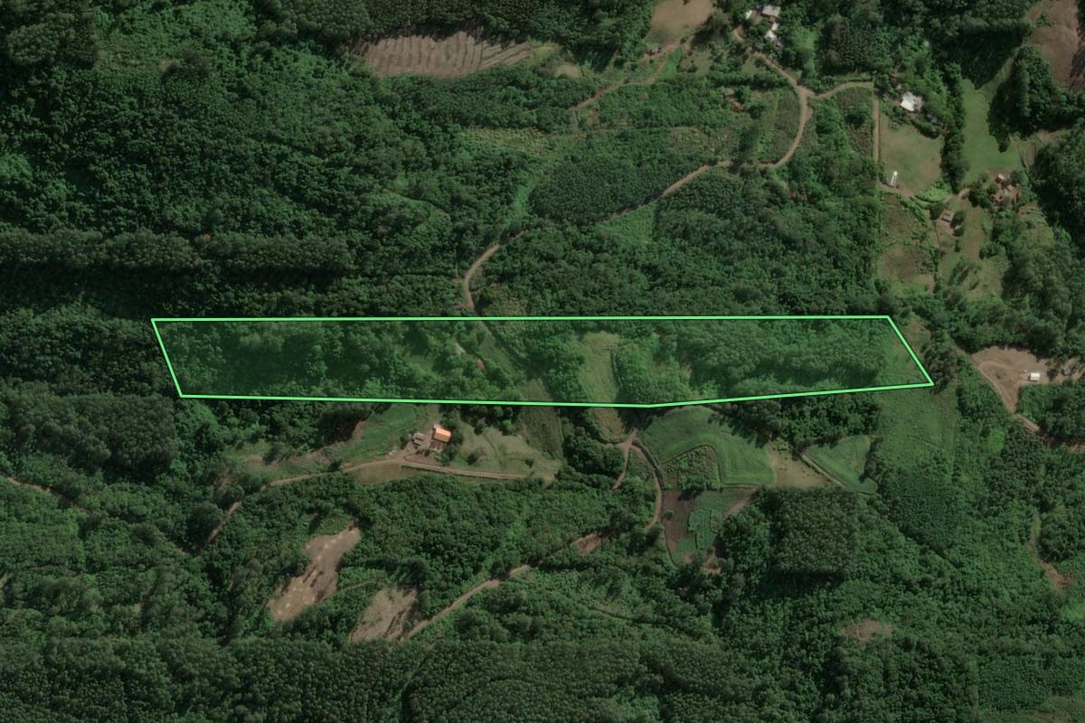Imagem de satélite do imóvel rural em Teutônia (RS), com o contorno declarado no CAR desenhado por cima.