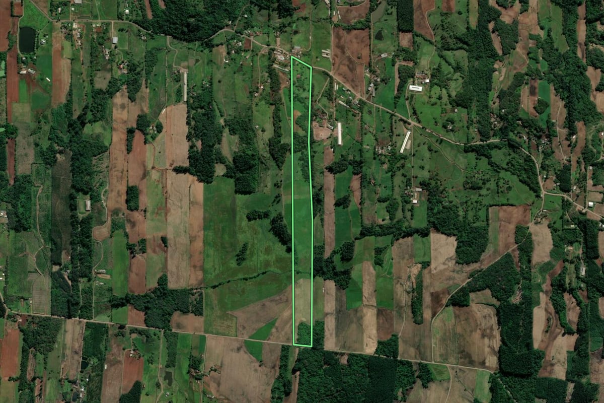 Imagem de satélite do imóvel rural em Teutônia (RS), com o contorno declarado no CAR desenhado por cima.