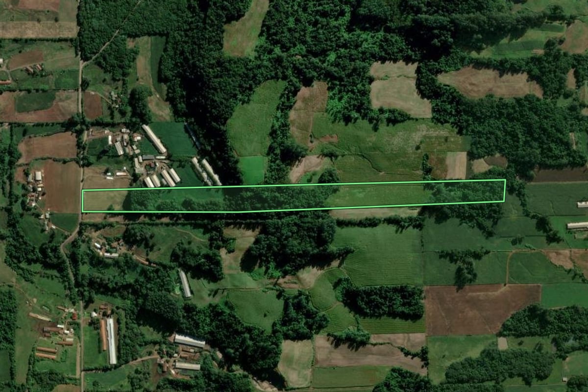 Imagem de satélite do imóvel rural em Teutônia (RS), com o contorno declarado no CAR desenhado por cima.