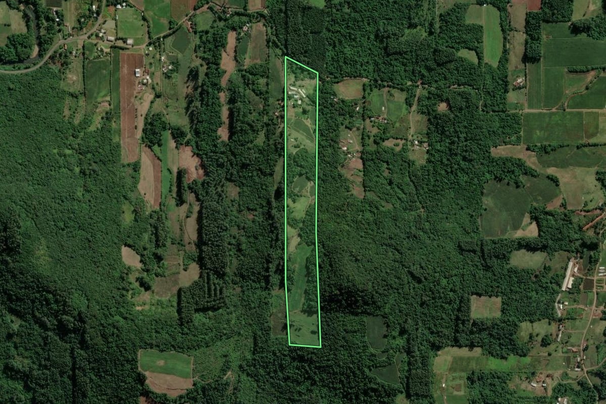Imagem de satélite do imóvel rural em Teutônia (RS), com o contorno declarado no CAR desenhado por cima.