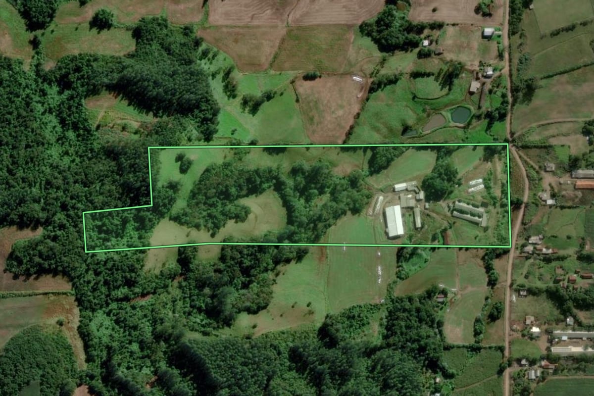 Imagem de satélite do imóvel rural em Teutônia (RS), com o contorno declarado no CAR desenhado por cima.