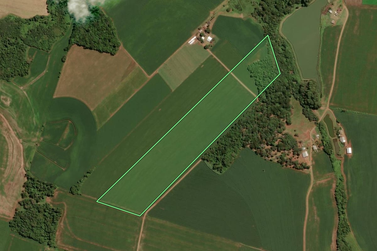Imagem de satélite do imóvel rural em Tio Hugo (RS), com o contorno declarado no CAR desenhado por cima.