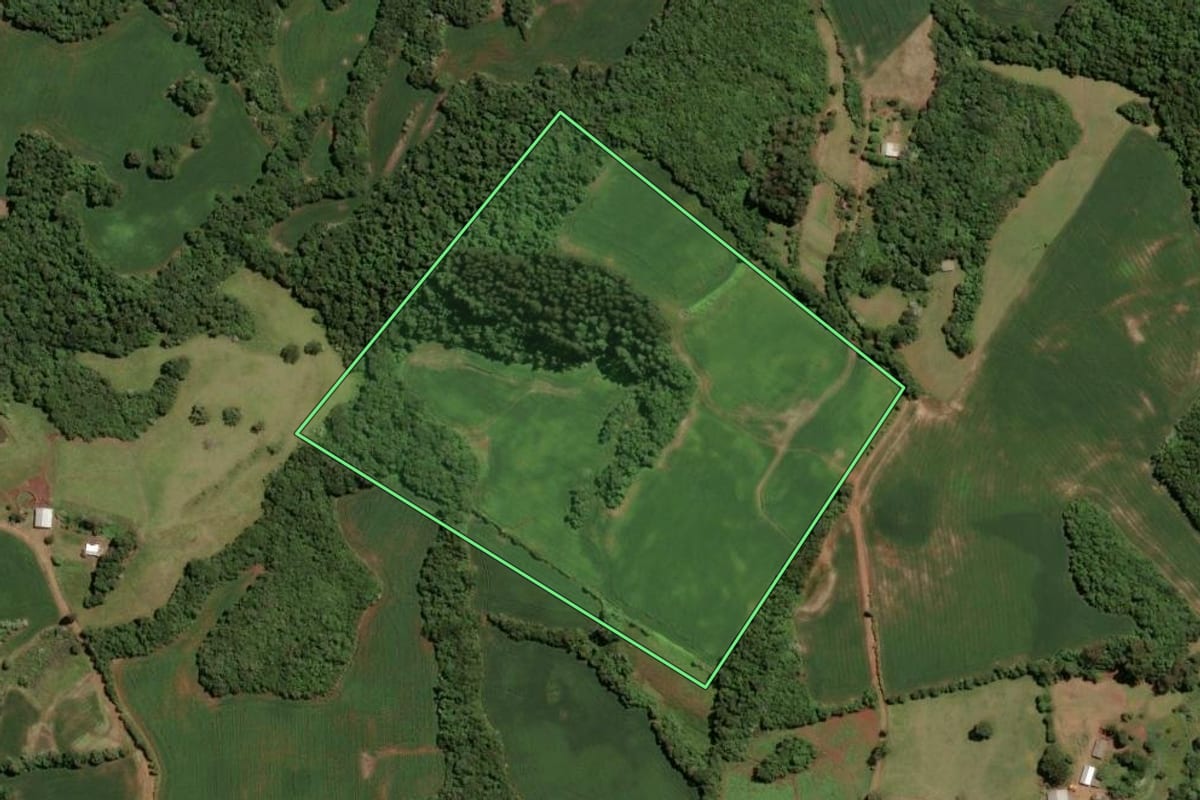 Imagem de satélite do imóvel rural em Tio Hugo (RS), com o contorno declarado no CAR desenhado por cima.