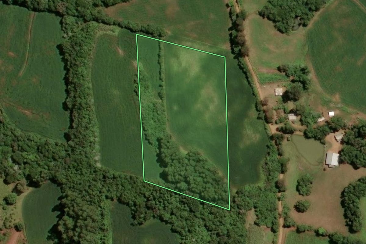 Imagem de satélite do imóvel rural em Tio Hugo (RS), com o contorno declarado no CAR desenhado por cima.