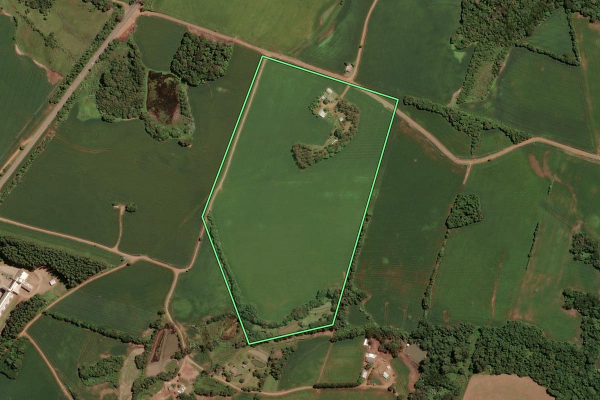Imagem de satélite do imóvel rural em Tio Hugo (RS), com o contorno declarado no CAR desenhado por cima.