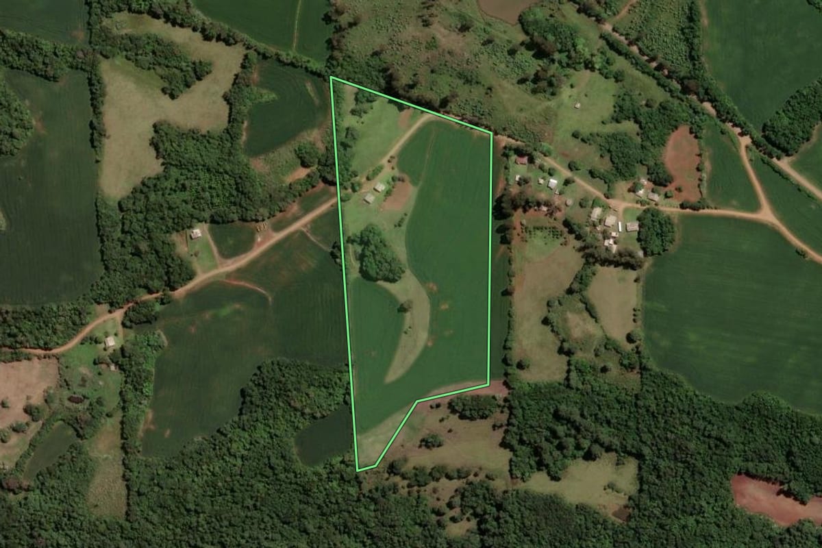 Imagem de satélite do imóvel rural em Tio Hugo (RS), com o contorno declarado no CAR desenhado por cima.