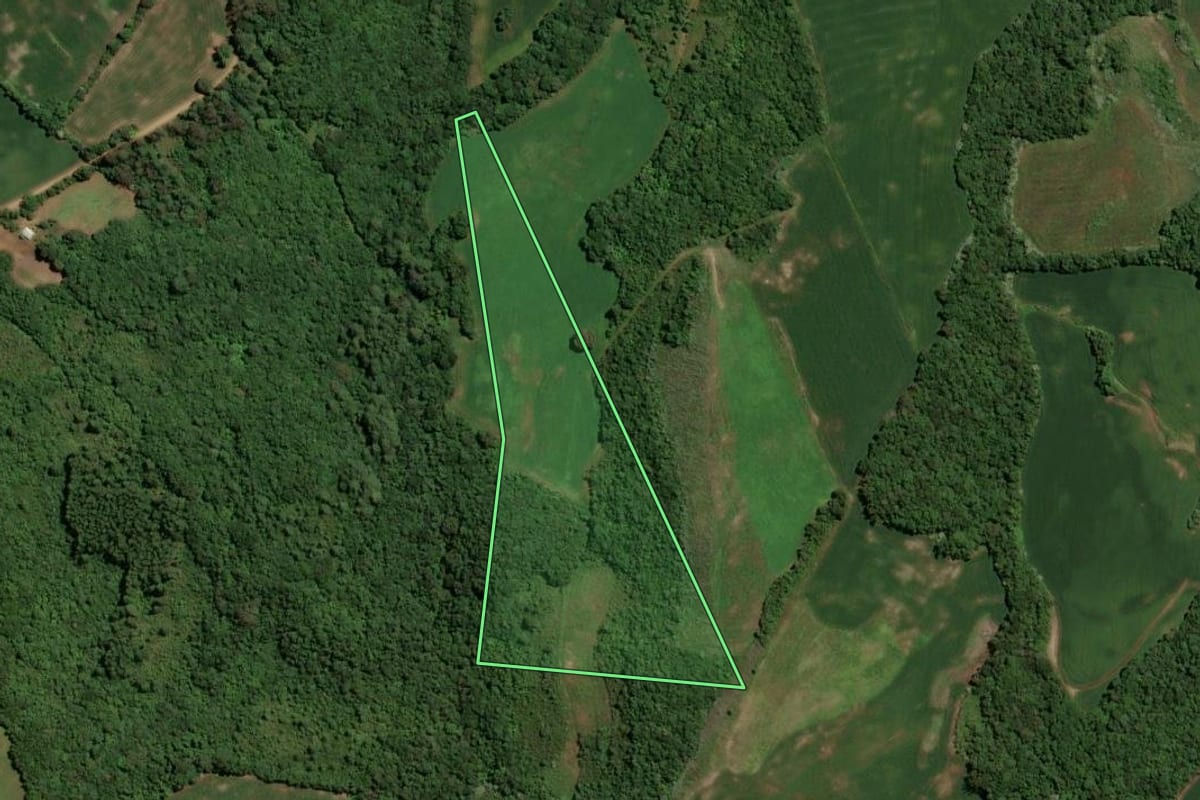 Imagem de satélite do imóvel rural em Tio Hugo (RS), com o contorno declarado no CAR desenhado por cima.
