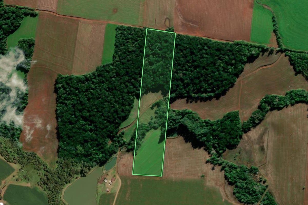 Imagem de satélite do imóvel rural em Tio Hugo (RS), com o contorno declarado no CAR desenhado por cima.