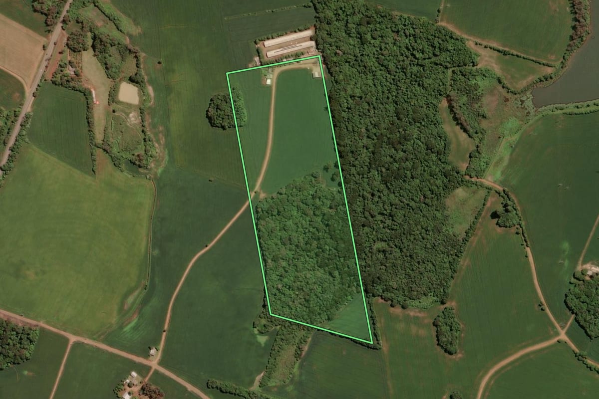 Imagem de satélite do imóvel rural em Tio Hugo (RS), com o contorno declarado no CAR desenhado por cima.