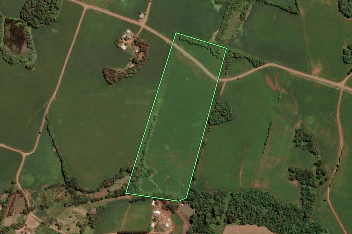 Imagem de satélite do imóvel rural em Tio Hugo (RS), com o contorno declarado no CAR desenhado por cima.