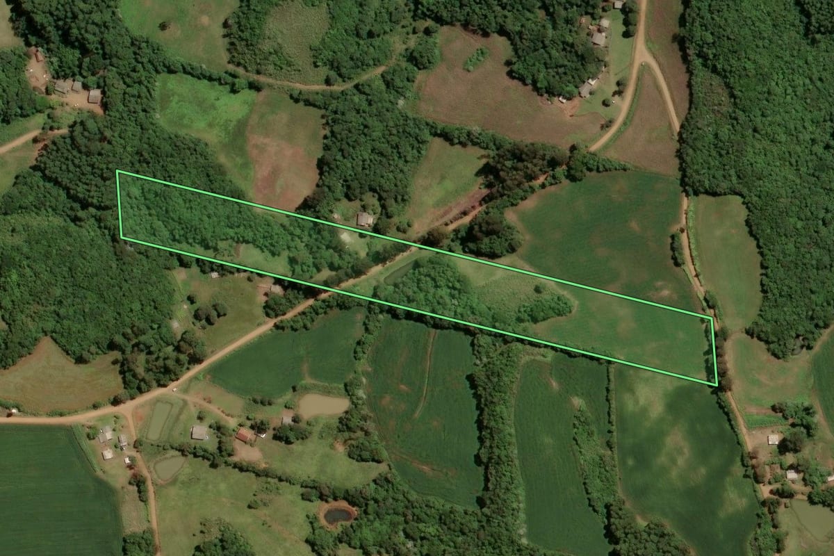 Imagem de satélite do imóvel rural em Tio Hugo (RS), com o contorno declarado no CAR desenhado por cima.