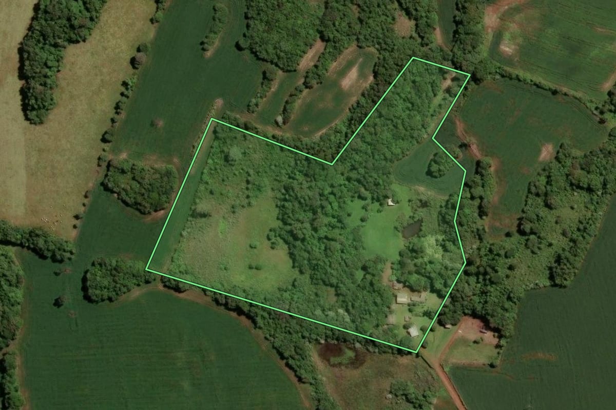 Imagem de satélite do imóvel rural em Tio Hugo (RS), com o contorno declarado no CAR desenhado por cima.