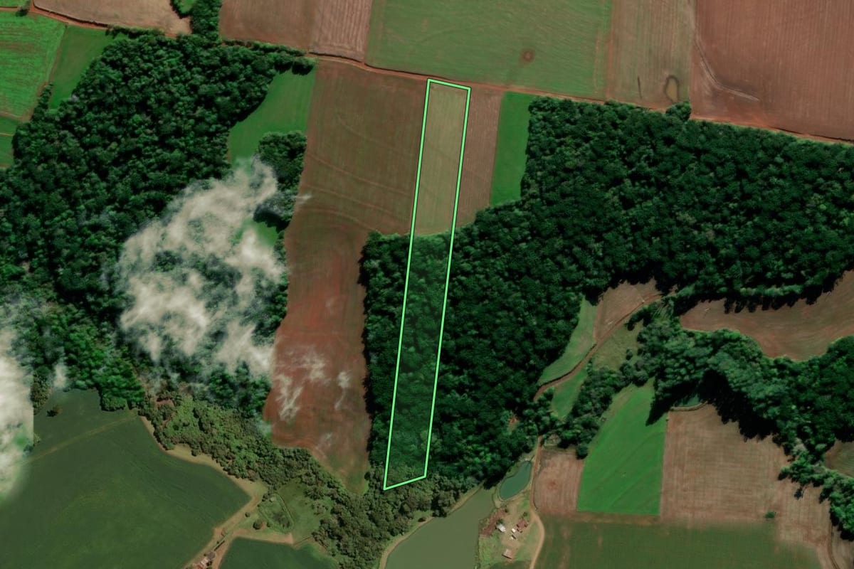 Imagem de satélite do imóvel rural em Tio Hugo (RS), com o contorno declarado no CAR desenhado por cima.