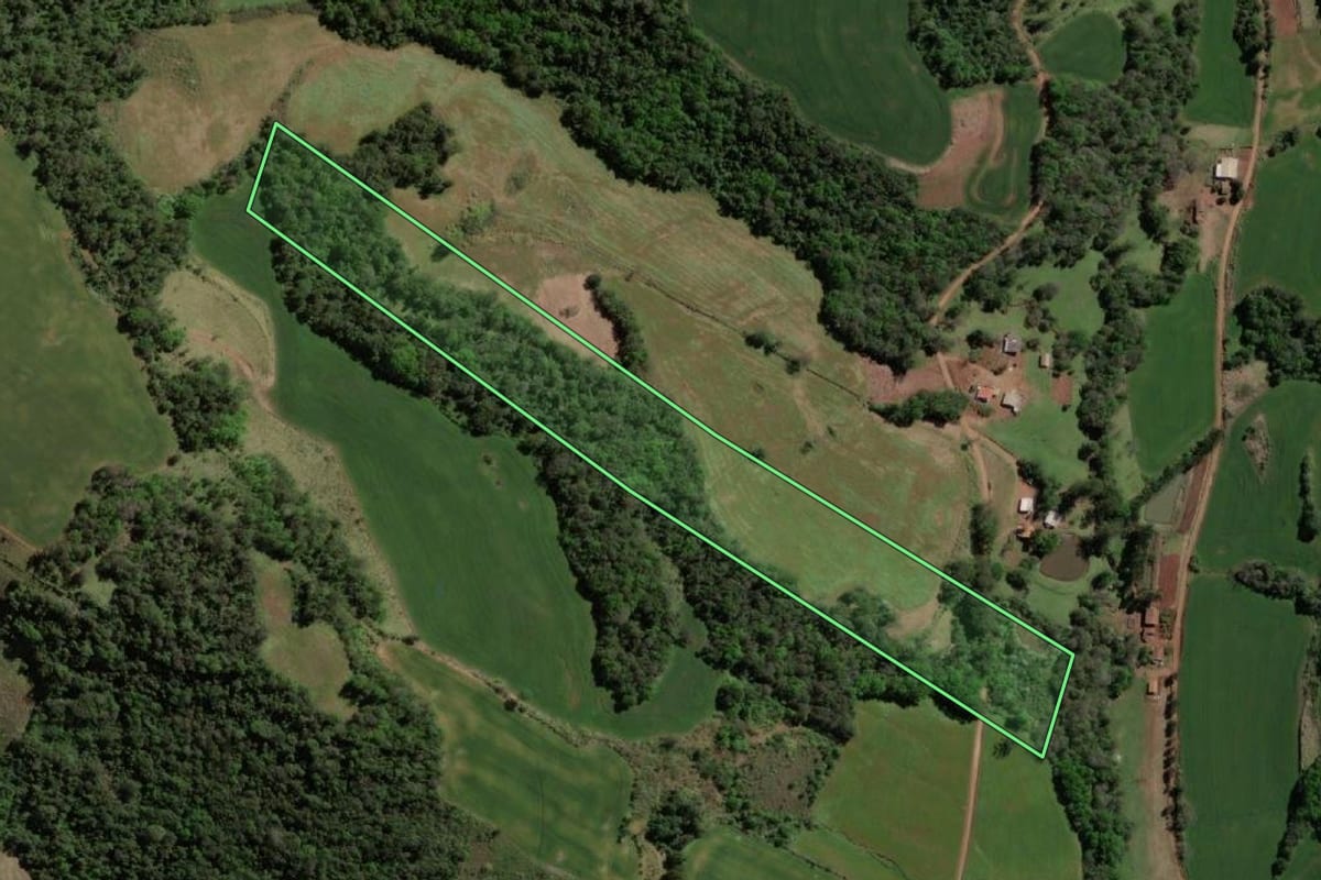Imagem de satélite do imóvel rural em Tiradentes do Sul (RS), com o contorno declarado no CAR desenhado por cima.