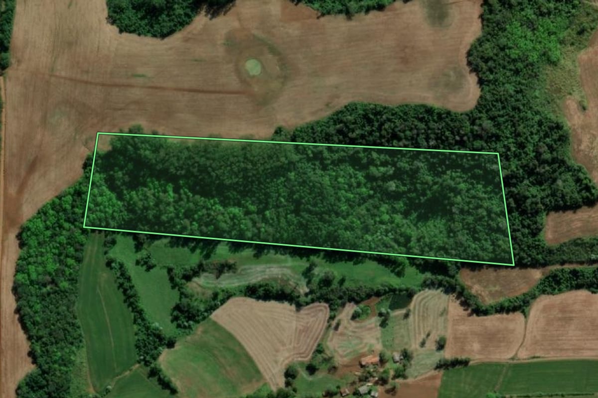 Imagem de satélite do imóvel rural em Tiradentes do Sul (RS), com o contorno declarado no CAR desenhado por cima.