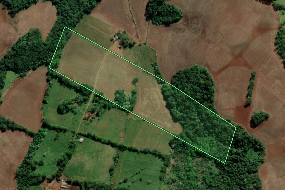 Imagem de satélite do imóvel rural em Tiradentes do Sul (RS), com o contorno declarado no CAR desenhado por cima.