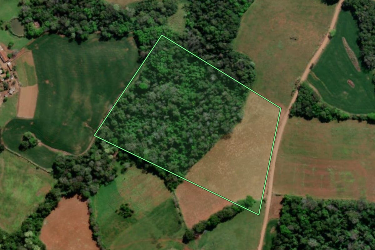 Imagem de satélite do imóvel rural em Tiradentes do Sul (RS), com o contorno declarado no CAR desenhado por cima.