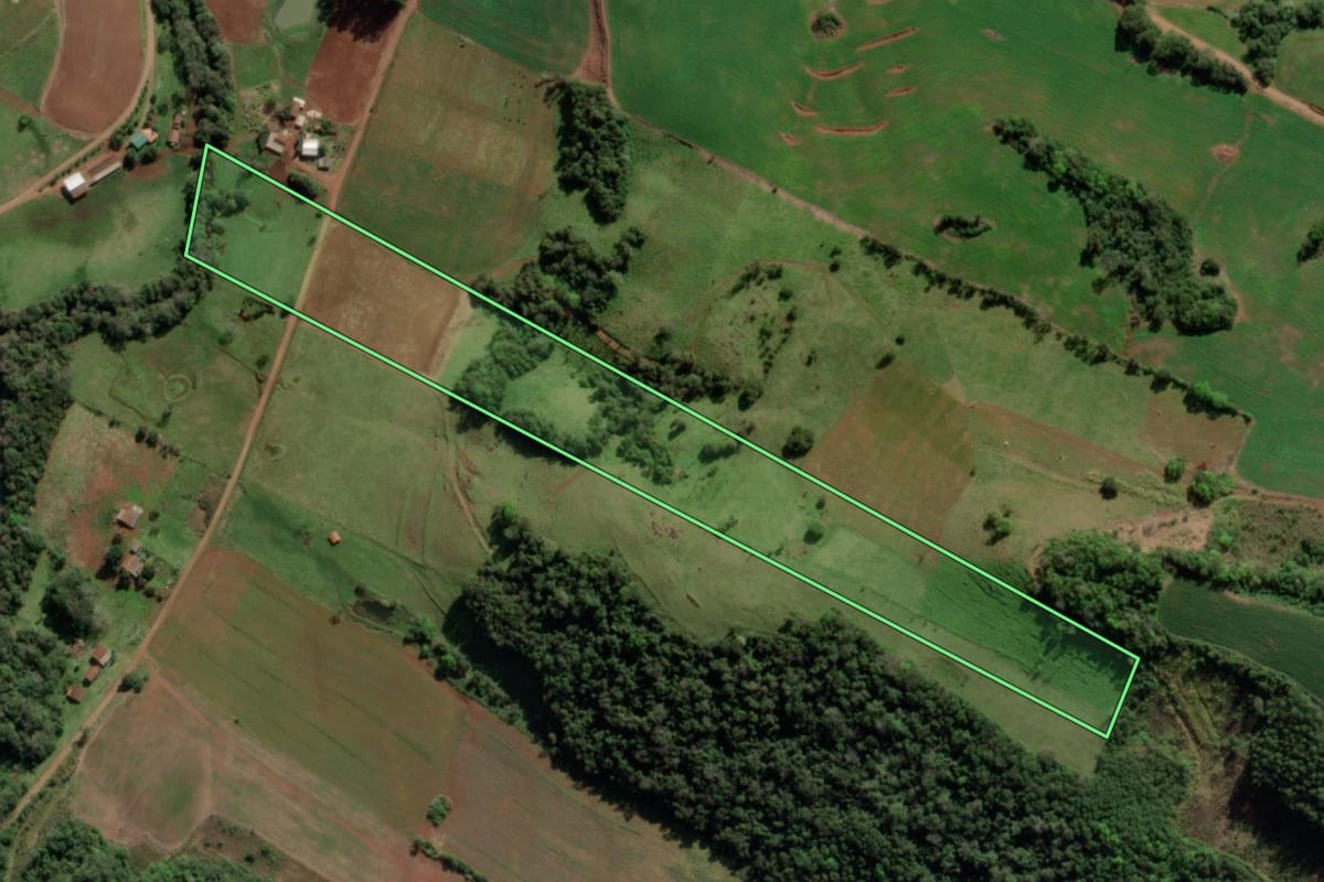 Imagem de satélite do imóvel rural em Tiradentes do Sul (RS), com o contorno declarado no CAR desenhado por cima.