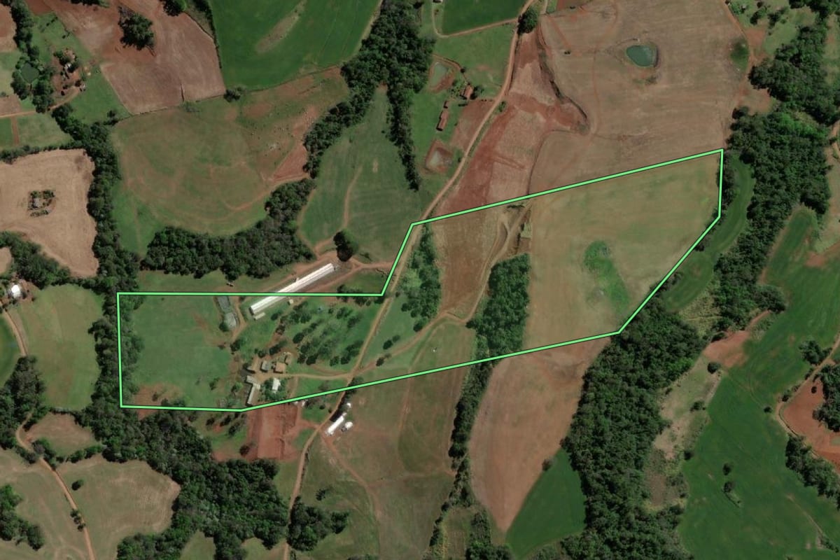 Imagem de satélite do imóvel rural em Tiradentes do Sul (RS), com o contorno declarado no CAR desenhado por cima.