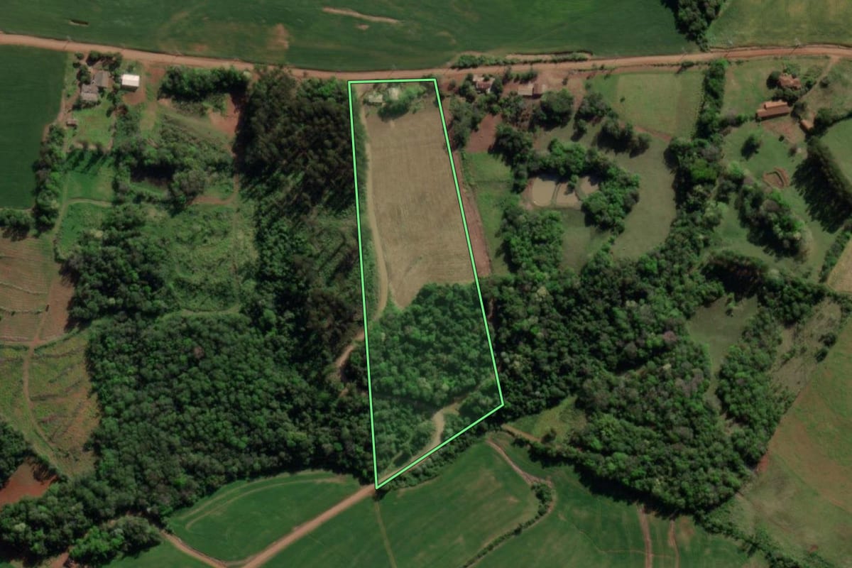 Imagem de satélite do imóvel rural em Tiradentes do Sul (RS), com o contorno declarado no CAR desenhado por cima.