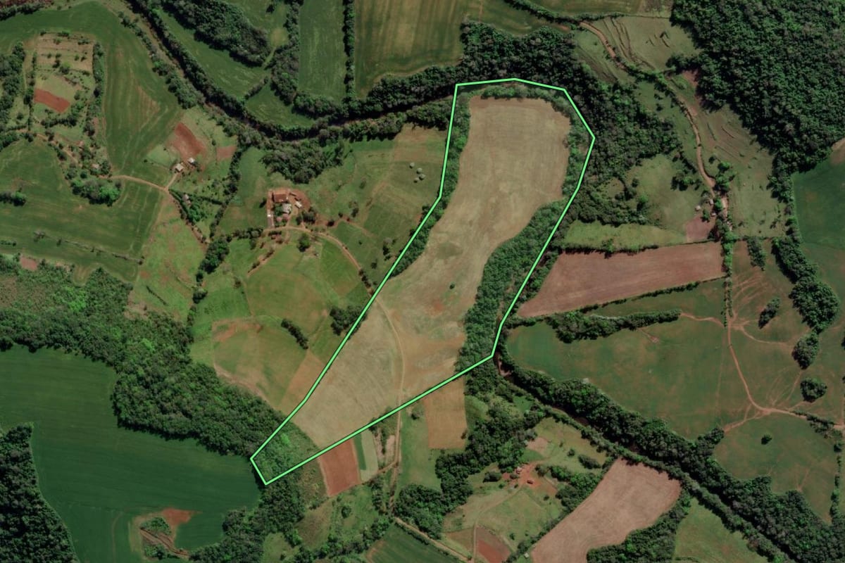 Imagem de satélite do imóvel rural em Tiradentes do Sul (RS), com o contorno declarado no CAR desenhado por cima.