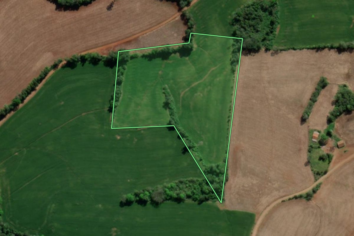 Imagem de satélite do imóvel rural em Tiradentes do Sul (RS), com o contorno declarado no CAR desenhado por cima.