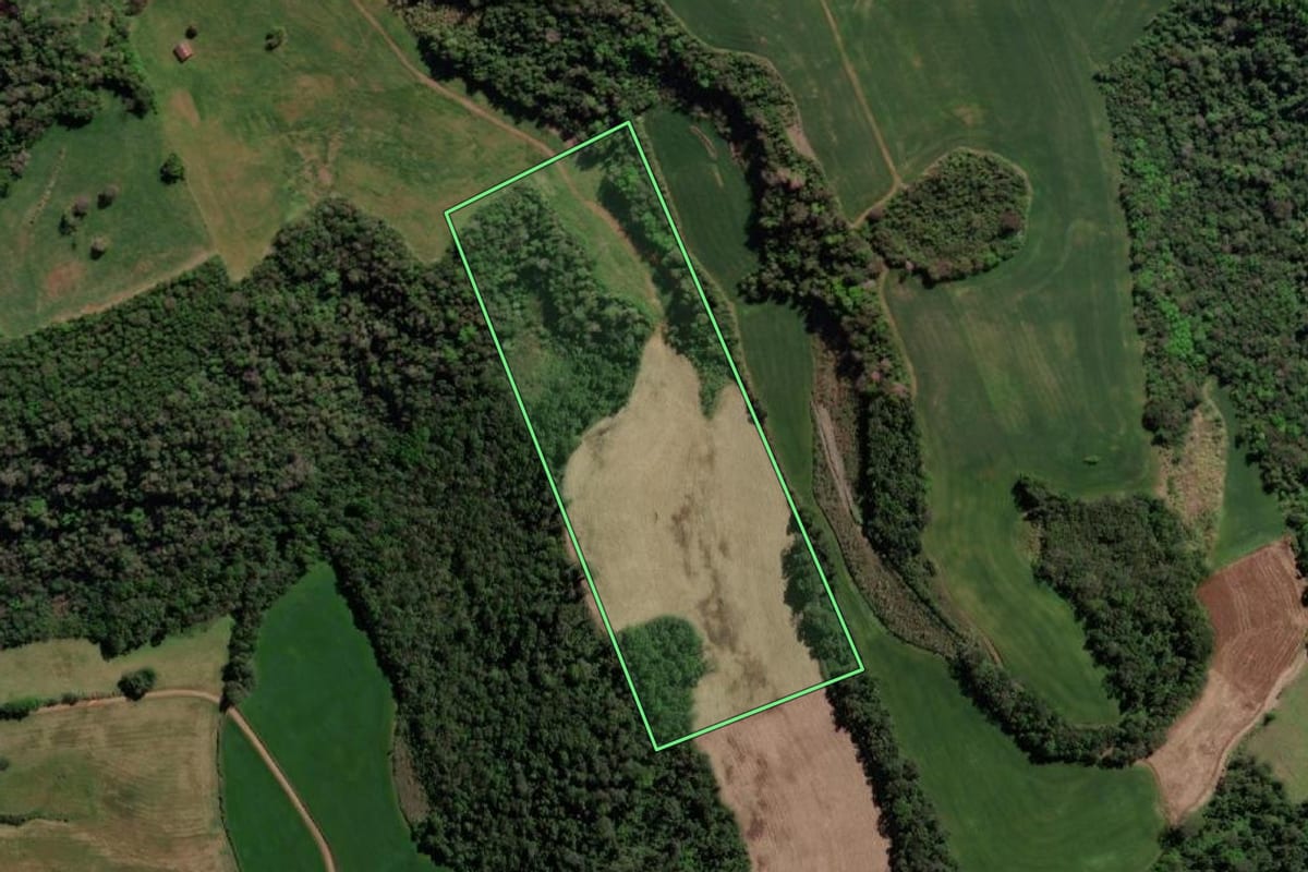 Imagem de satélite do imóvel rural em Tiradentes do Sul (RS), com o contorno declarado no CAR desenhado por cima.