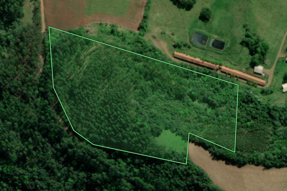 Imagem de satélite do imóvel rural em Tiradentes do Sul (RS), com o contorno declarado no CAR desenhado por cima.