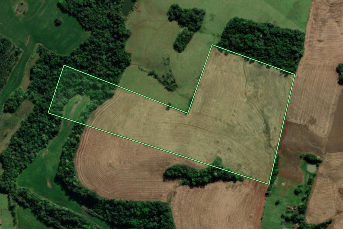 Imagem de satélite do imóvel rural em Tiradentes do Sul (RS), com o contorno declarado no CAR desenhado por cima.