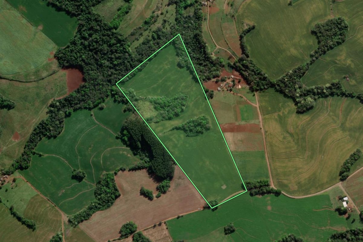 Imagem de satélite do imóvel rural em Tiradentes do Sul (RS), com o contorno declarado no CAR desenhado por cima.