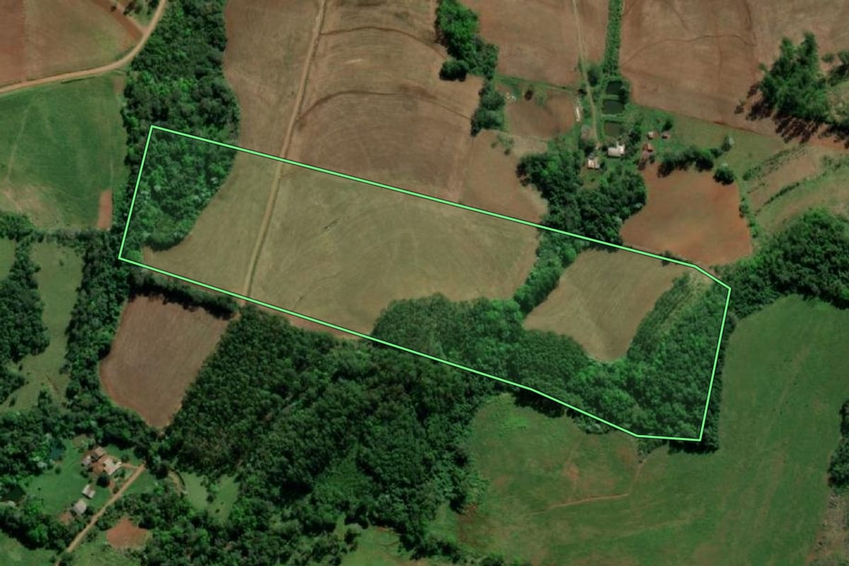 Imagem de satélite do imóvel rural em Tiradentes do Sul (RS), com o contorno declarado no CAR desenhado por cima.