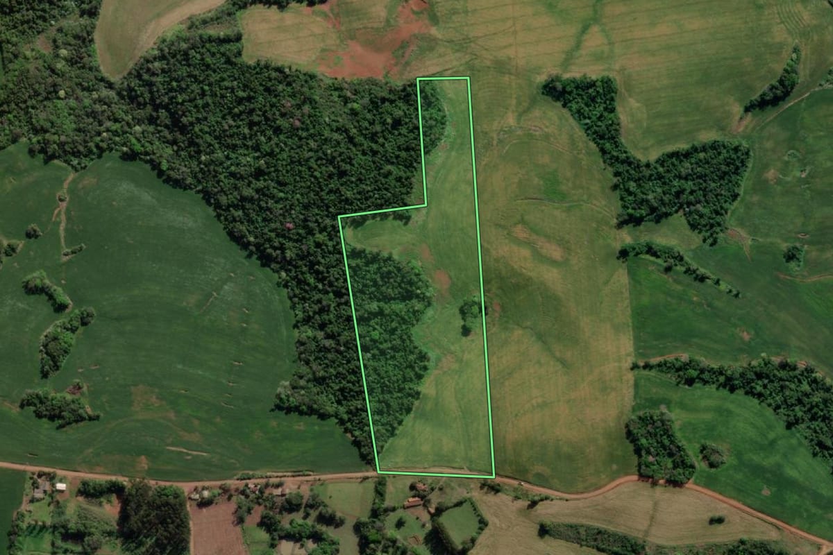 Imagem de satélite do imóvel rural em Tiradentes do Sul (RS), com o contorno declarado no CAR desenhado por cima.