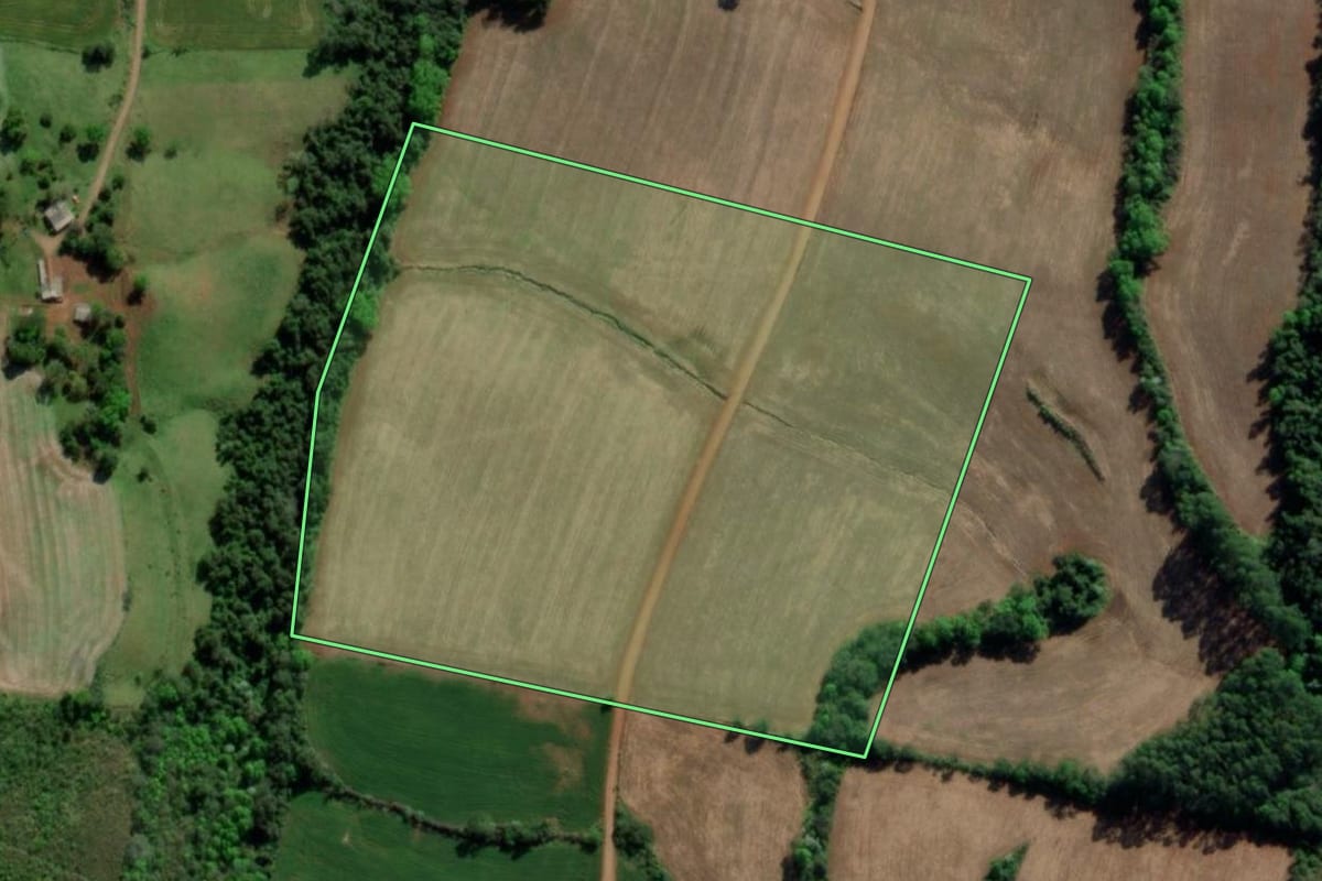 Imagem de satélite do imóvel rural em Tiradentes do Sul (RS), com o contorno declarado no CAR desenhado por cima.