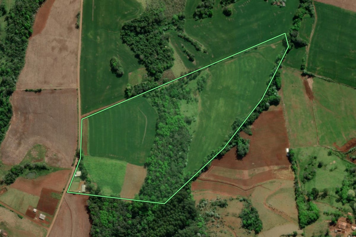 Imagem de satélite do imóvel rural em Tiradentes do Sul (RS), com o contorno declarado no CAR desenhado por cima.