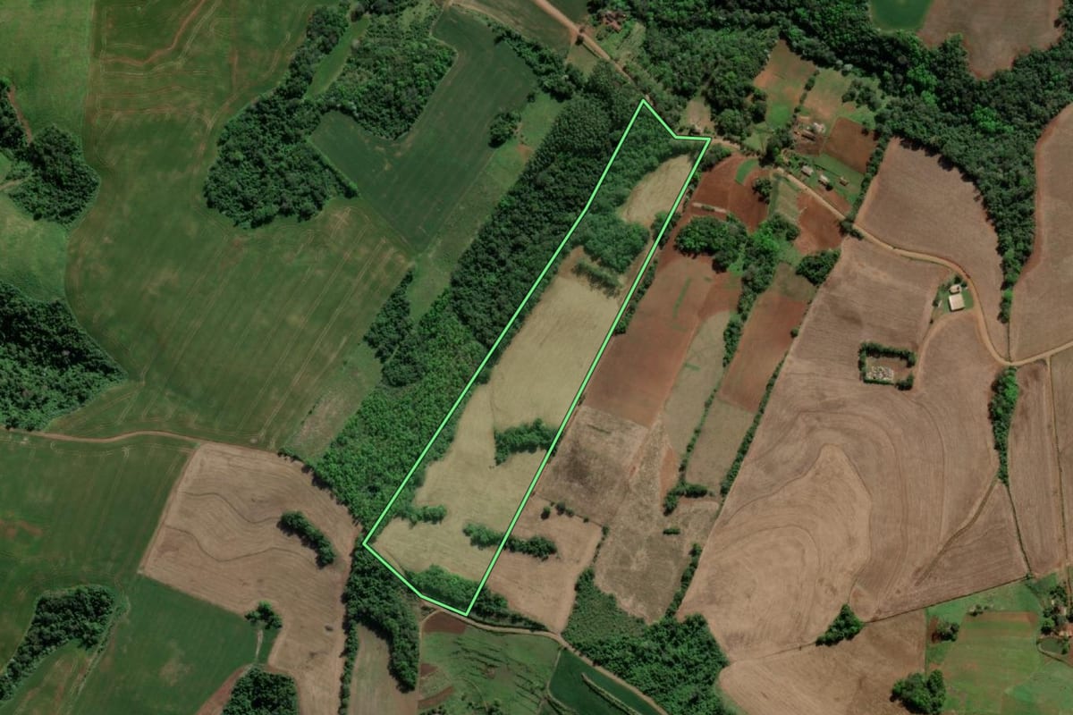 Imagem de satélite do imóvel rural em Tiradentes do Sul (RS), com o contorno declarado no CAR desenhado por cima.