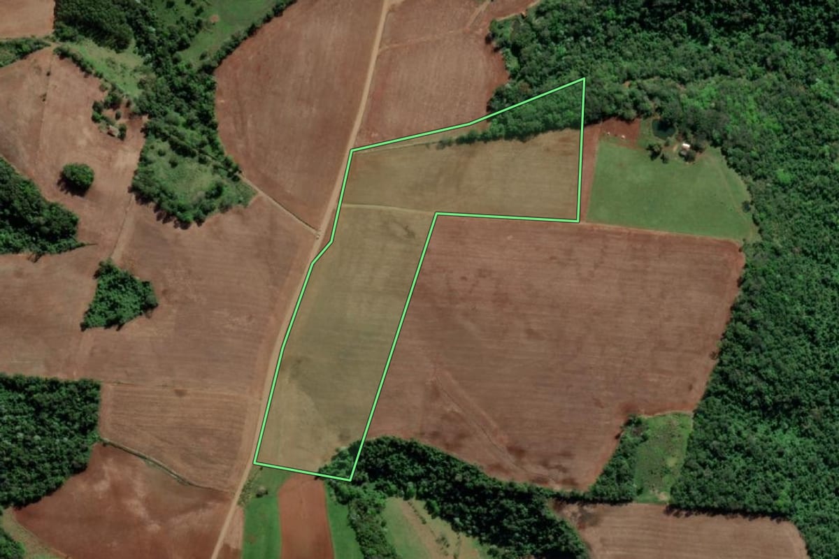 Imagem de satélite do imóvel rural em Tiradentes do Sul (RS), com o contorno declarado no CAR desenhado por cima.