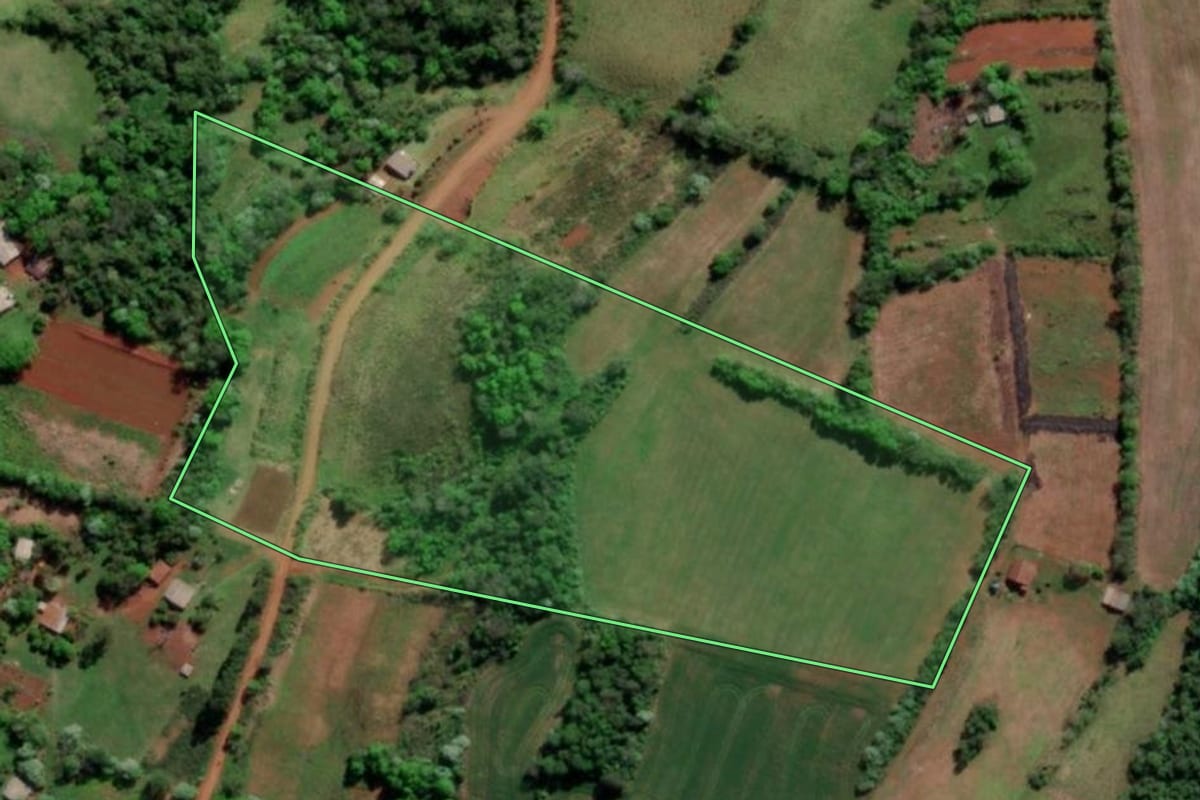 Imagem de satélite do imóvel rural em Tiradentes do Sul (RS), com o contorno declarado no CAR desenhado por cima.