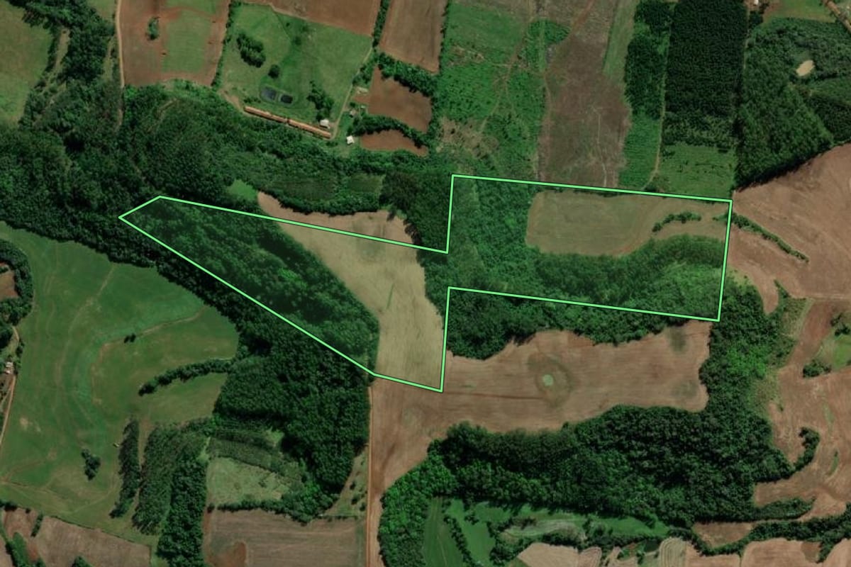 Imagem de satélite do imóvel rural em Tiradentes do Sul (RS), com o contorno declarado no CAR desenhado por cima.