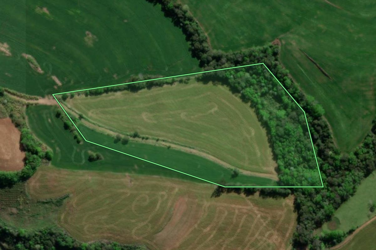 Imagem de satélite do imóvel rural em Tiradentes do Sul (RS), com o contorno declarado no CAR desenhado por cima.