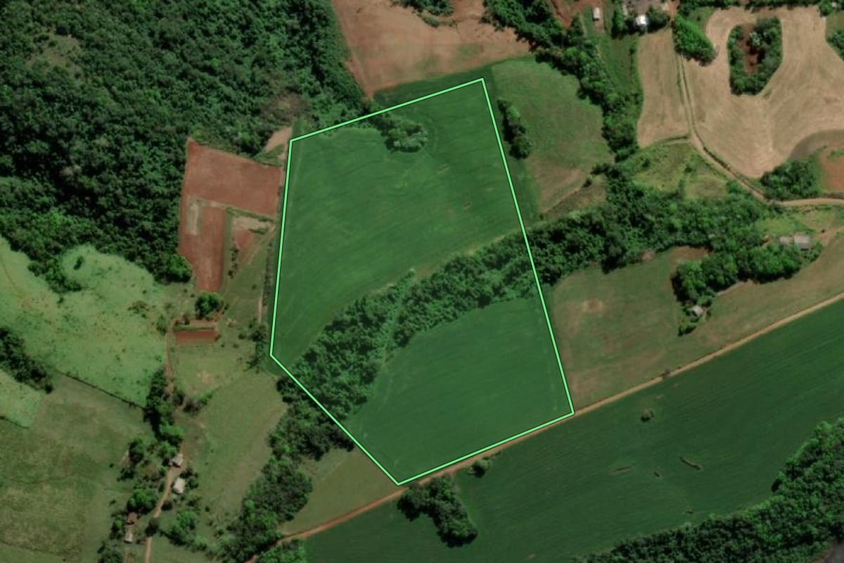 Imagem de satélite do imóvel rural em Tiradentes do Sul (RS), com o contorno declarado no CAR desenhado por cima.