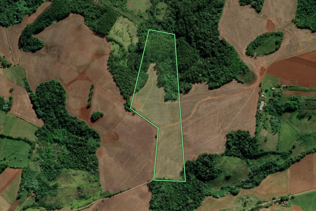 Imagem de satélite do imóvel rural em Tiradentes do Sul (RS), com o contorno declarado no CAR desenhado por cima.