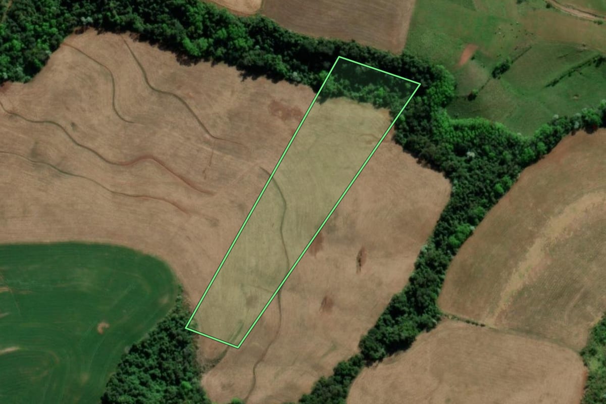 Imagem de satélite do imóvel rural em Tiradentes do Sul (RS), com o contorno declarado no CAR desenhado por cima.