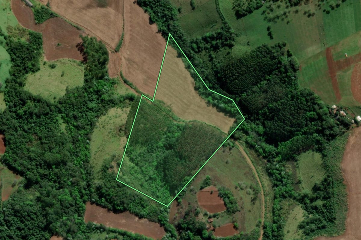 Imagem de satélite do imóvel rural em Tiradentes do Sul (RS), com o contorno declarado no CAR desenhado por cima.
