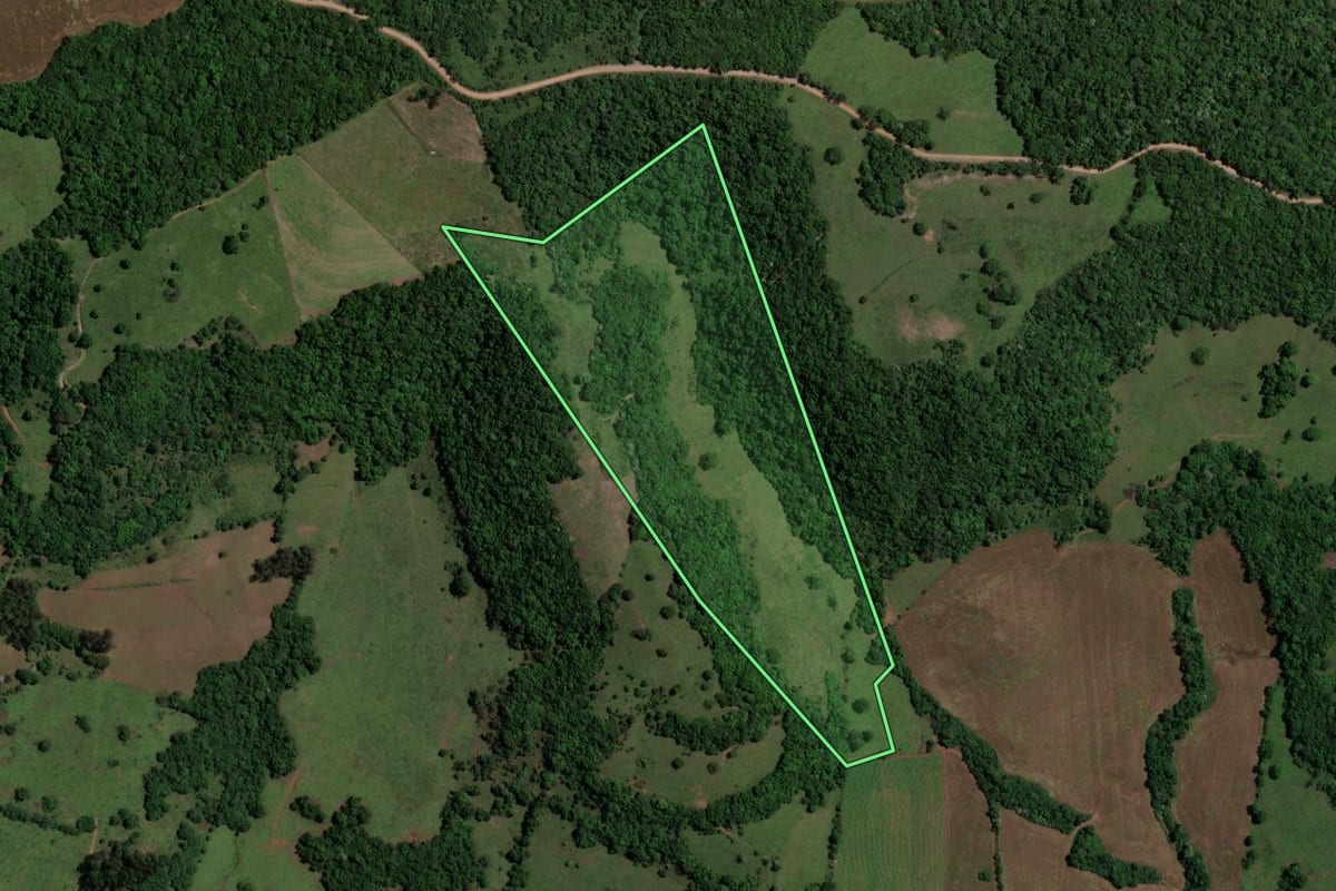 Imagem de satélite do imóvel rural em Toropi (RS), com o contorno declarado no CAR desenhado por cima.