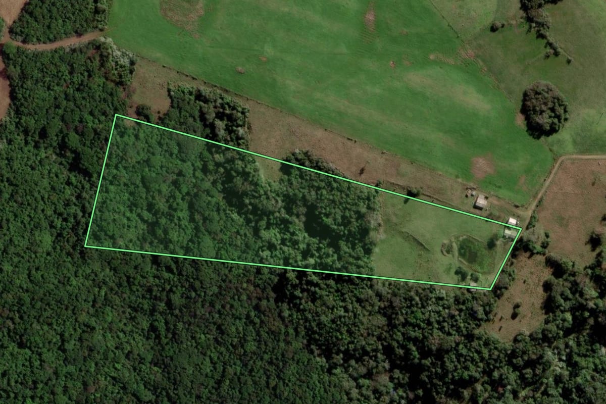 Imagem de satélite do imóvel rural em Toropi (RS), com o contorno declarado no CAR desenhado por cima.