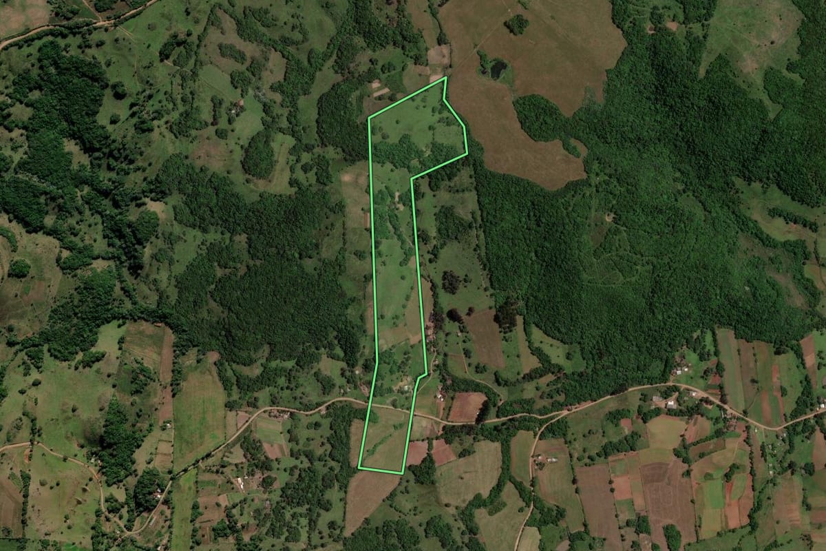 Imagem de satélite do imóvel rural em Toropi (RS), com o contorno declarado no CAR desenhado por cima.