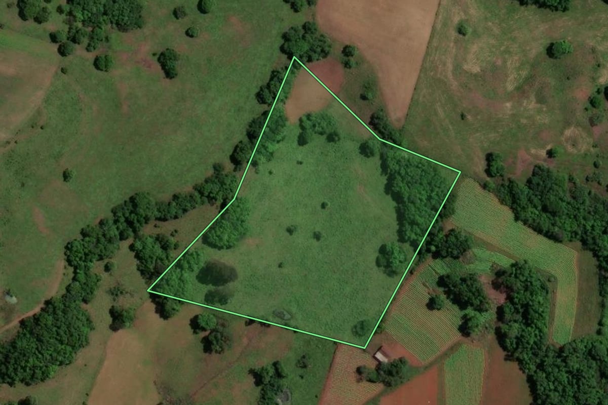 Imagem de satélite do imóvel rural em Toropi (RS), com o contorno declarado no CAR desenhado por cima.