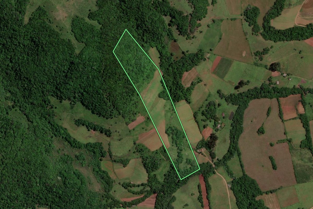 Imagem de satélite do imóvel rural em Toropi (RS), com o contorno declarado no CAR desenhado por cima.