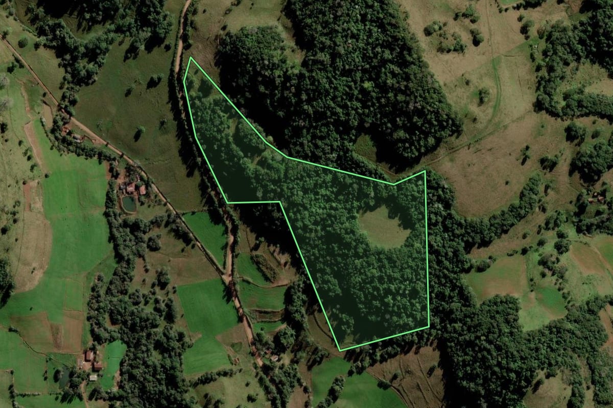 Imagem de satélite do imóvel rural em Toropi (RS), com o contorno declarado no CAR desenhado por cima.